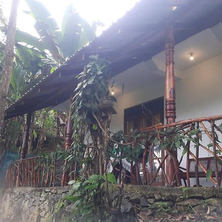 Dulmini Homestay Ella Exterior photo